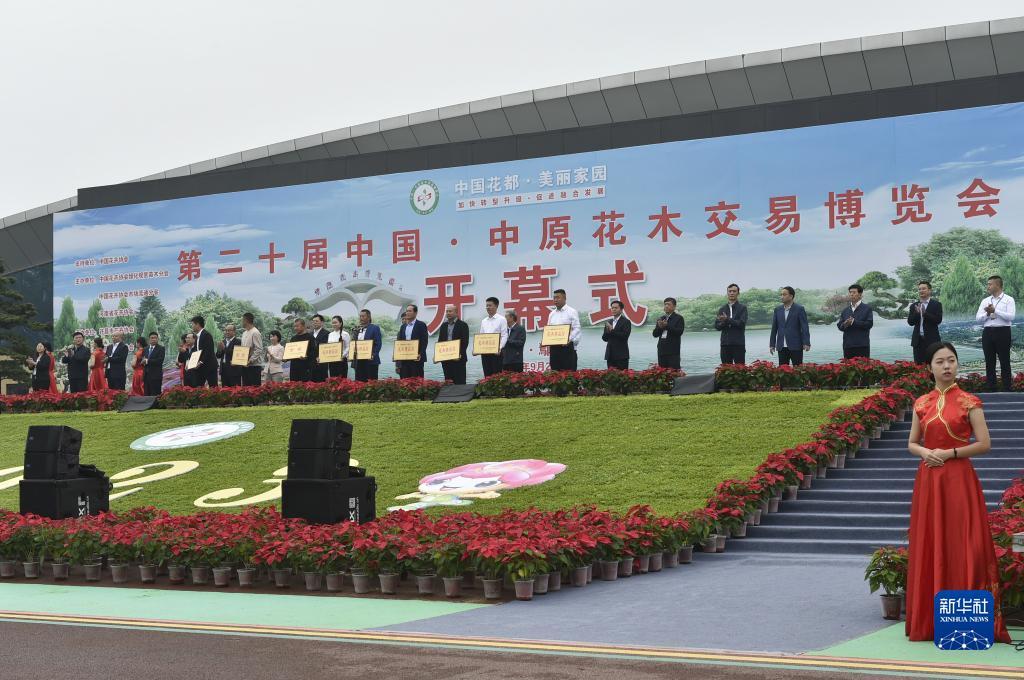 仙豆棋牌官网
